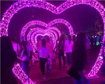 陜西燈光節-節日亮化