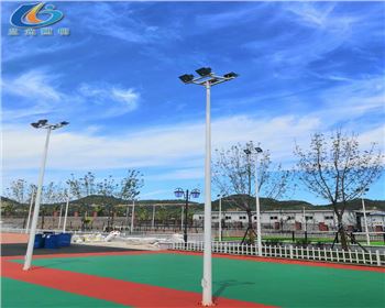 陜西延安學校路燈照明項目